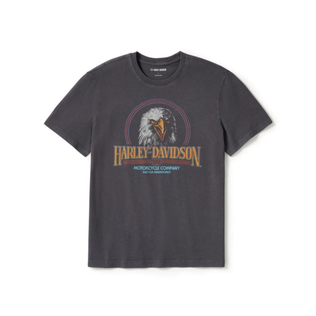 KAOS HARLEY-DAVIDSON MEN'S SOARING RIDE GRAPHIC TEE ORIGINAL USA  96379-25VM HD