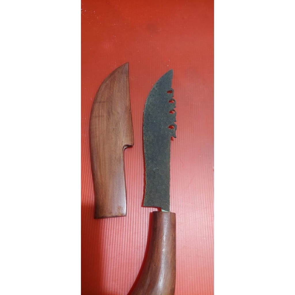 pedang pembunuh naga sepuh