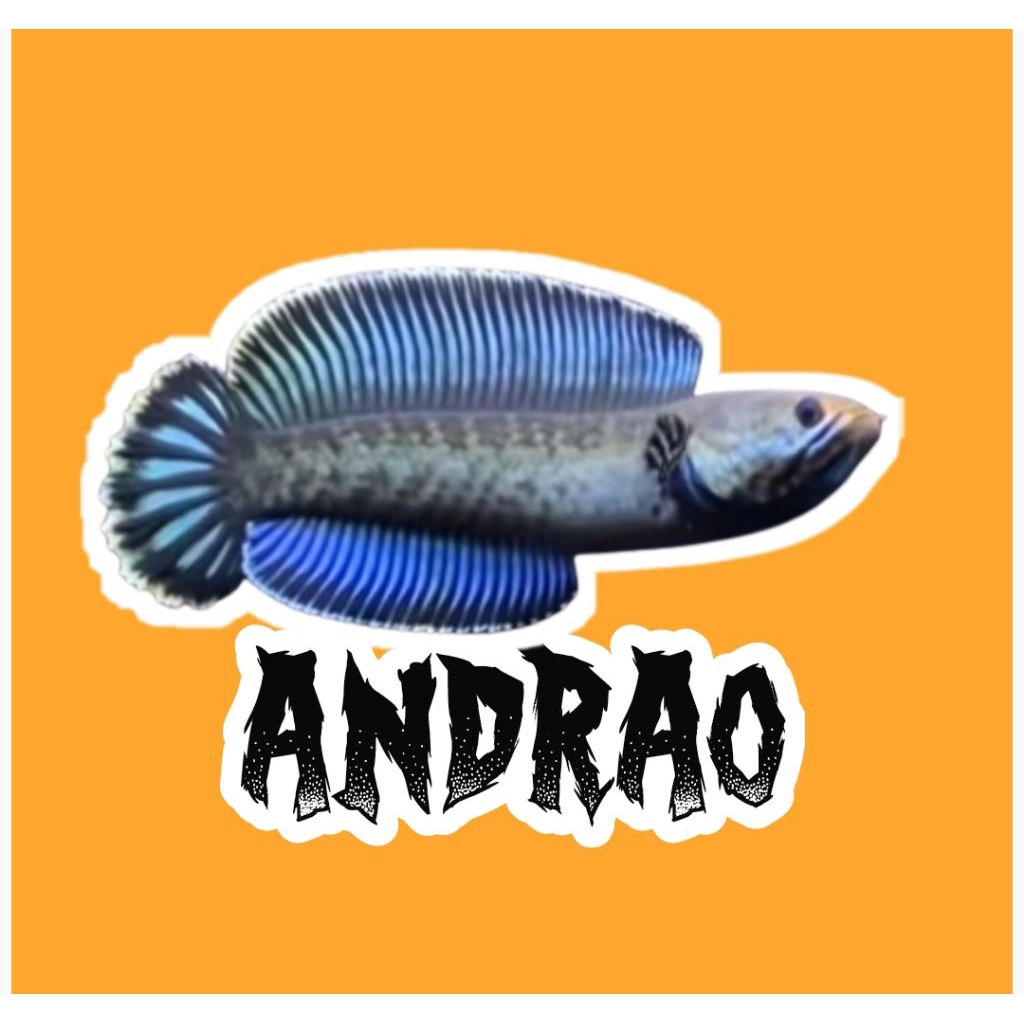Sticker Channa Andrao 7cm+ || Aksesoris, tempelan.