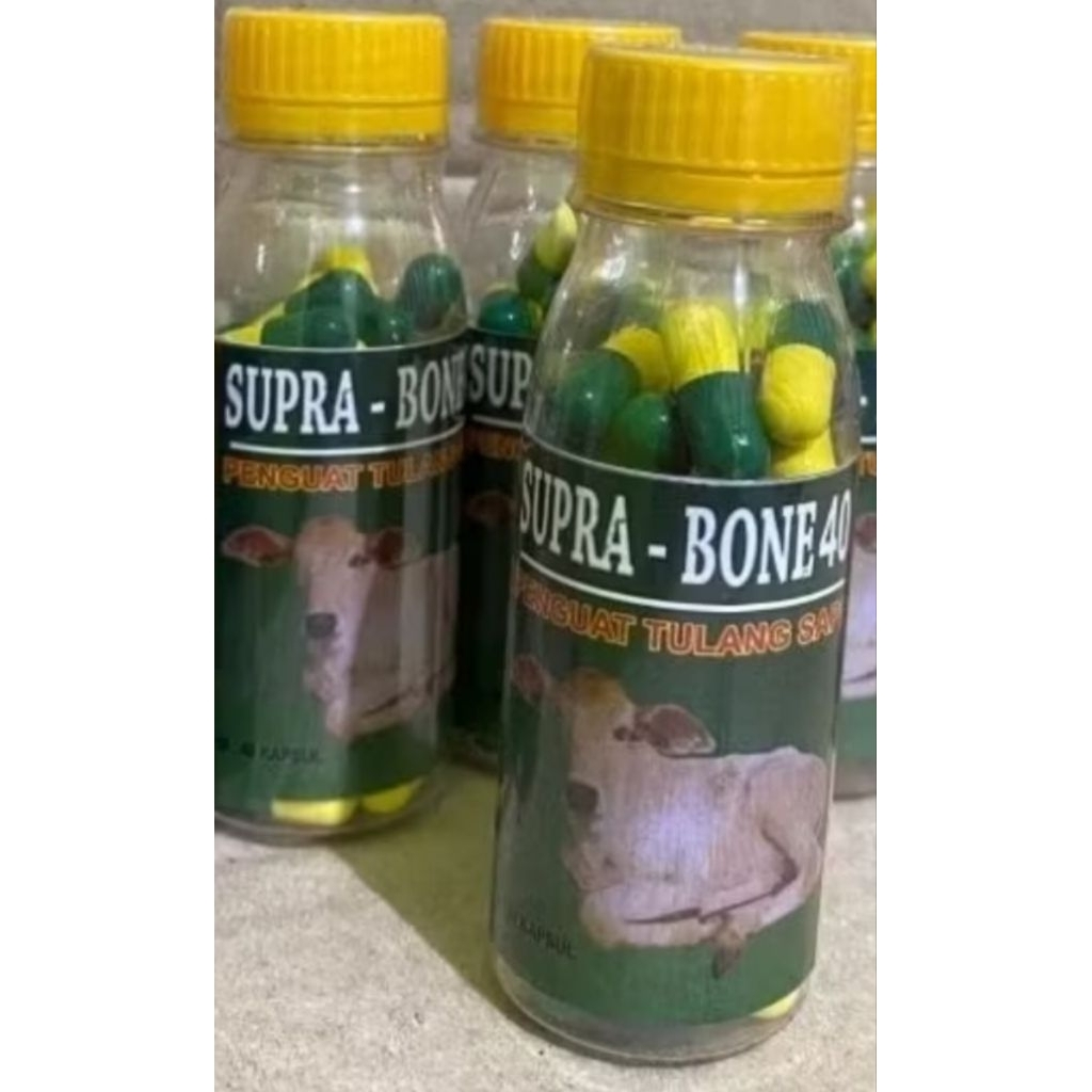 Supra bone penguat tulang obat lumpuh pincang deprok sapi