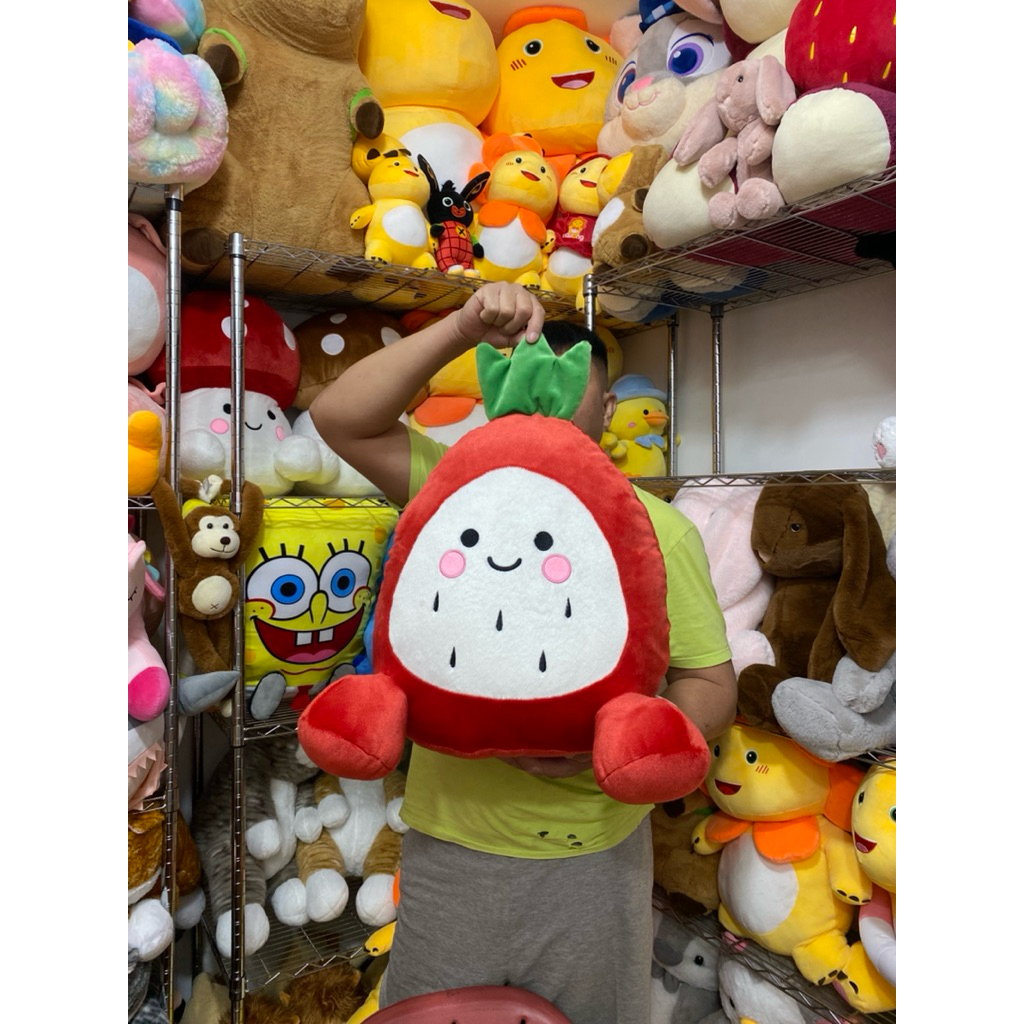 Boneka Bantal Jamur Buah Naga Ukuran Jumbo