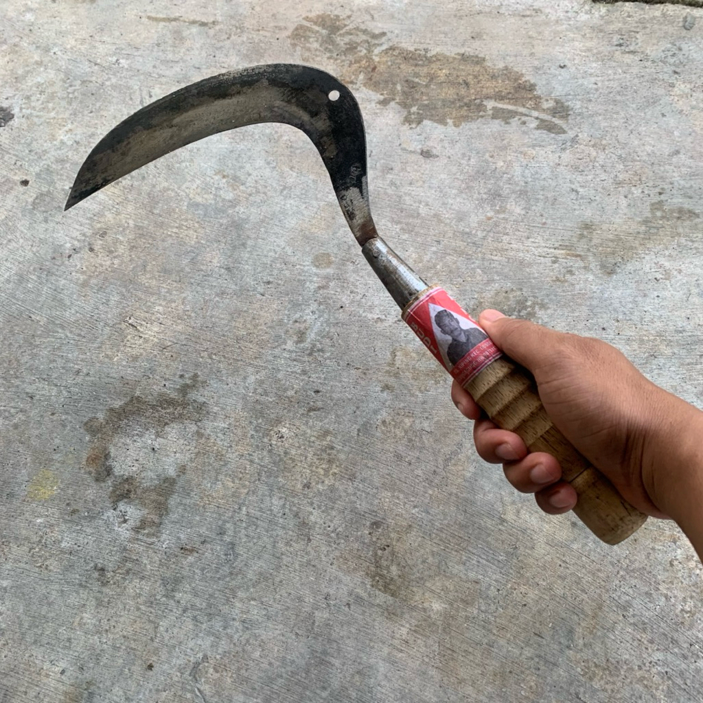 Sabit Aret Rumput Baja Asli Super Tajam Ukuran 35 cm cocok untuk merumput potong dahan kecil