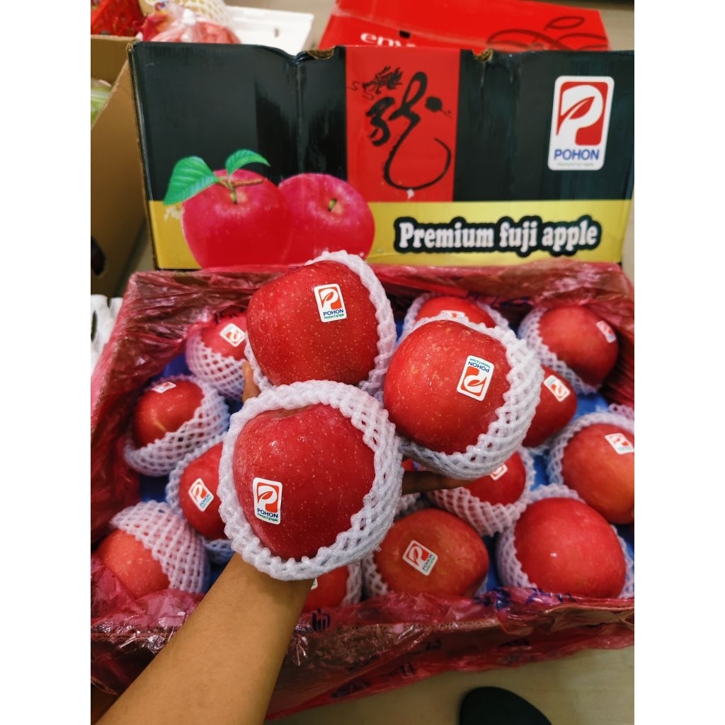 Apel Fuji Premium Blush Pohon