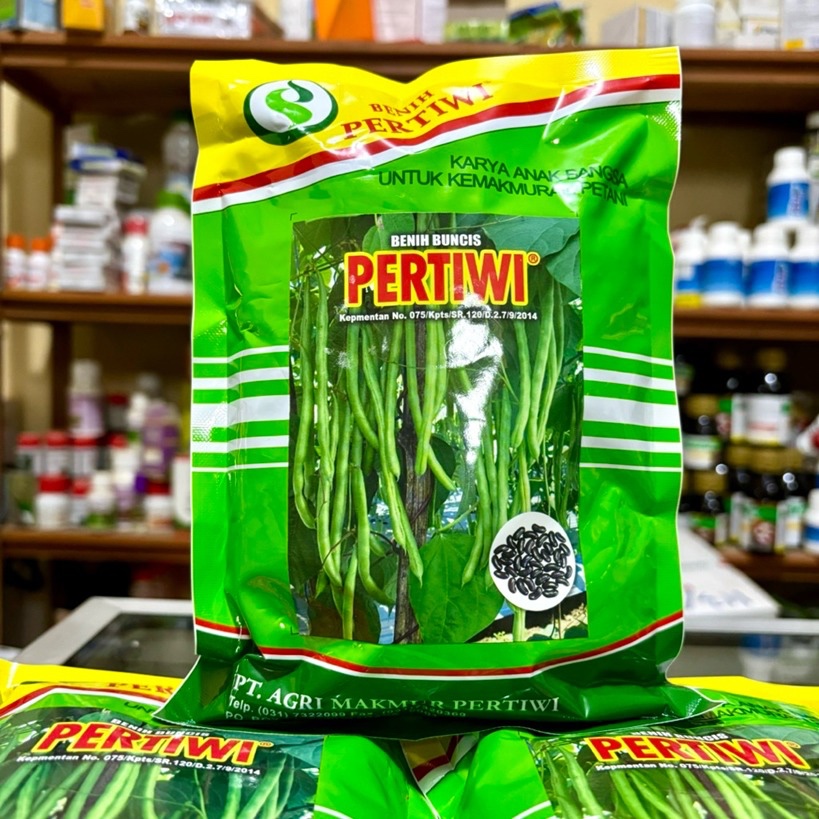 Benih Buncis PERTIWI 500 Gram - Bibit Buncis Unggul Pertiwi 500