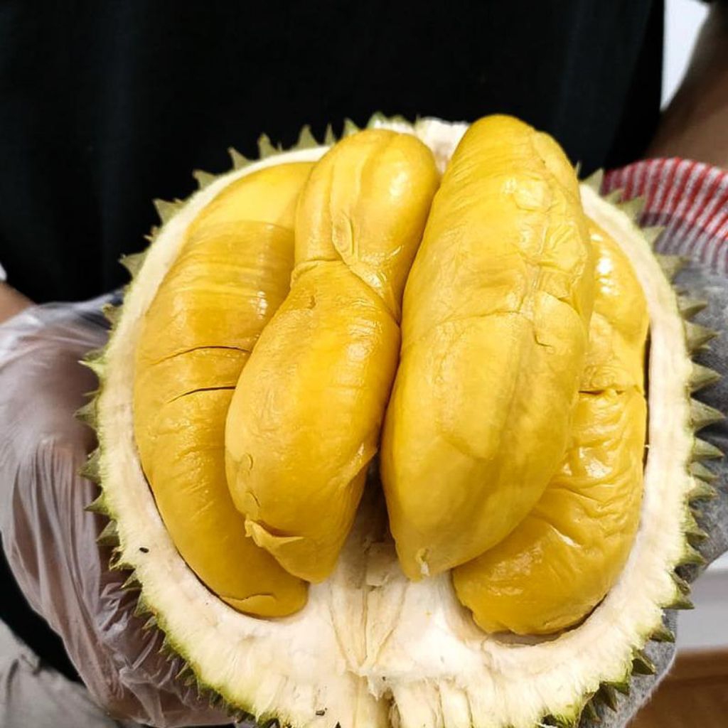 Entres Durian Musangking, Super Tembaga, Duri Hitam