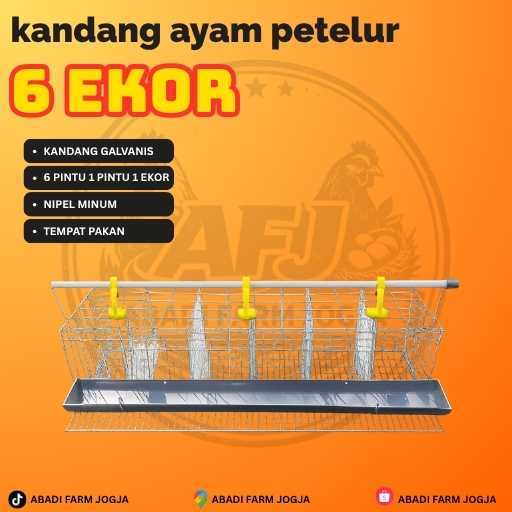 KANDANG AYAM PETELUR GALVANIS 6 pintu kapasitas 6 ekor ayam