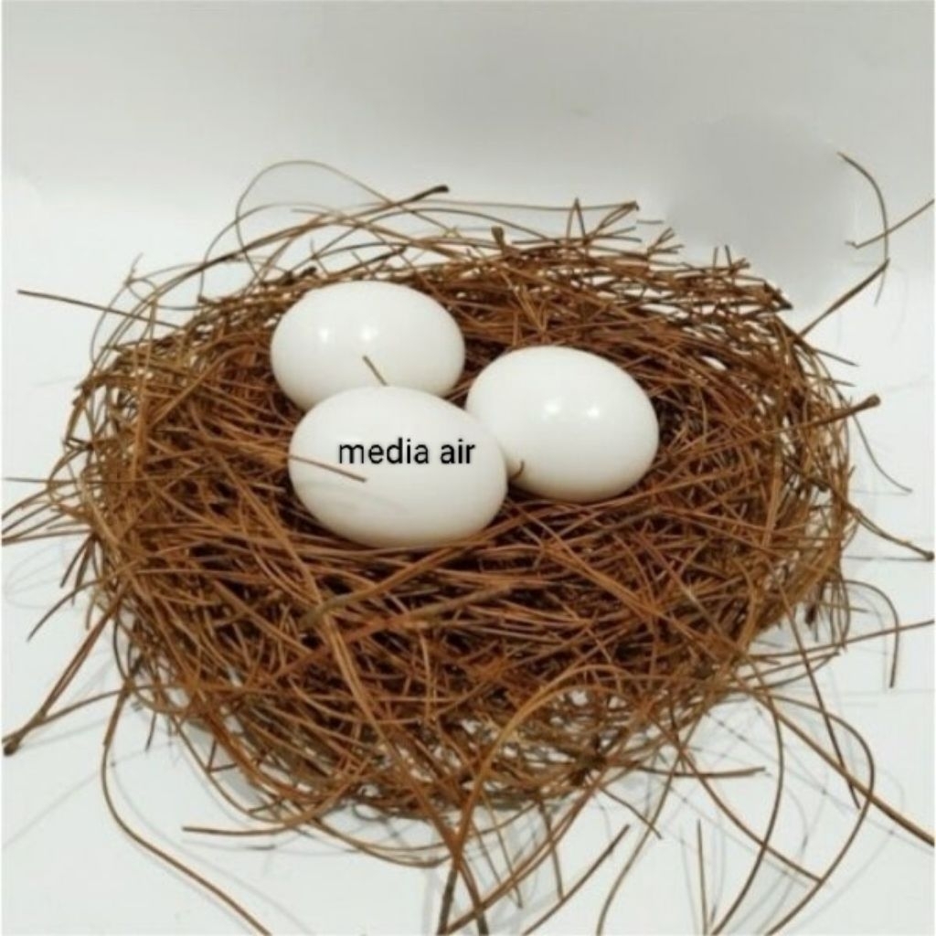 TELUR palsu mainan burung merpati