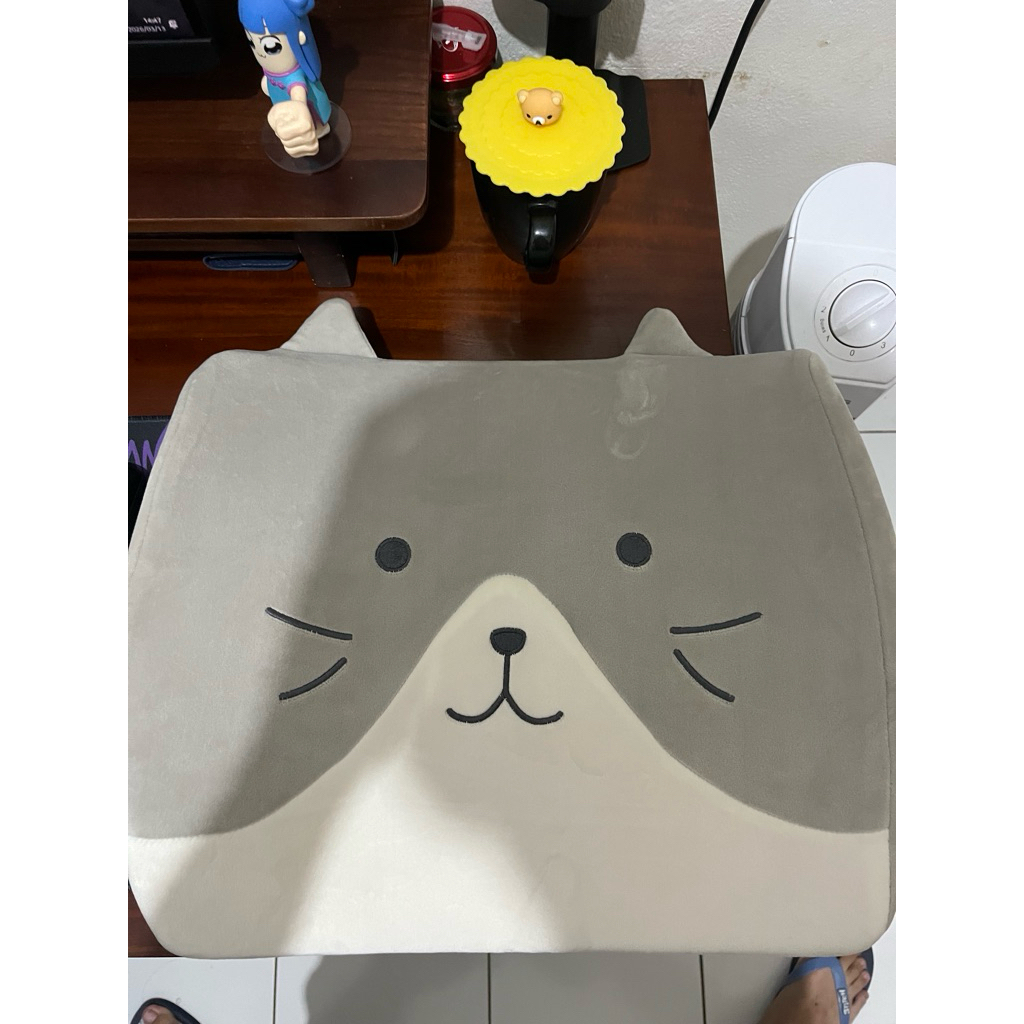 preloved bantal kucing