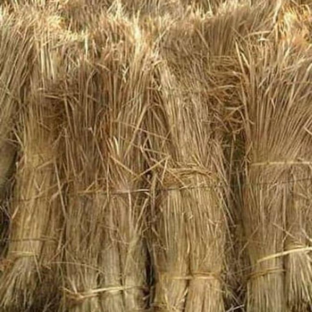 Jerami Padi Kering (1kg)