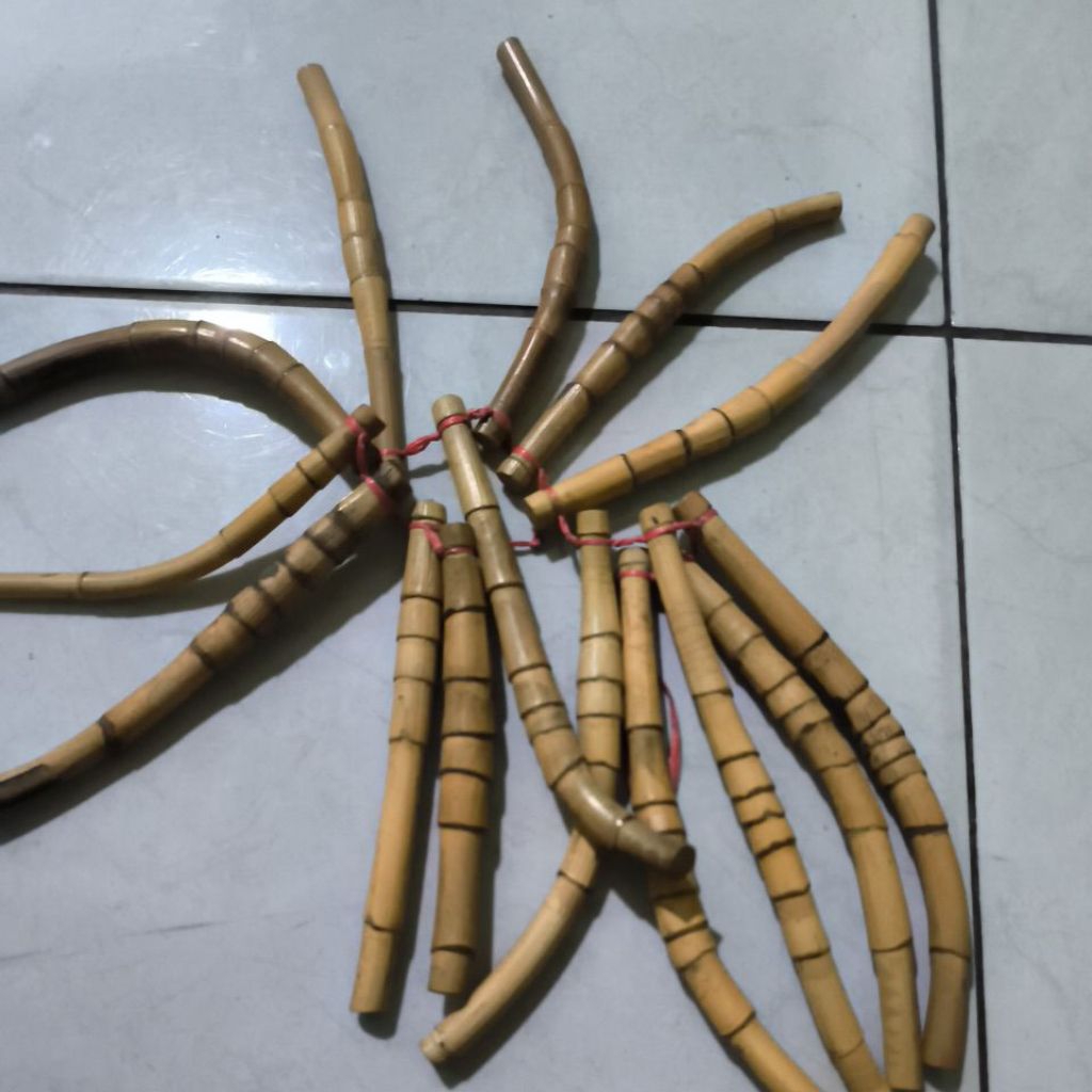 rotan khas kalimantan tampa ruas polos