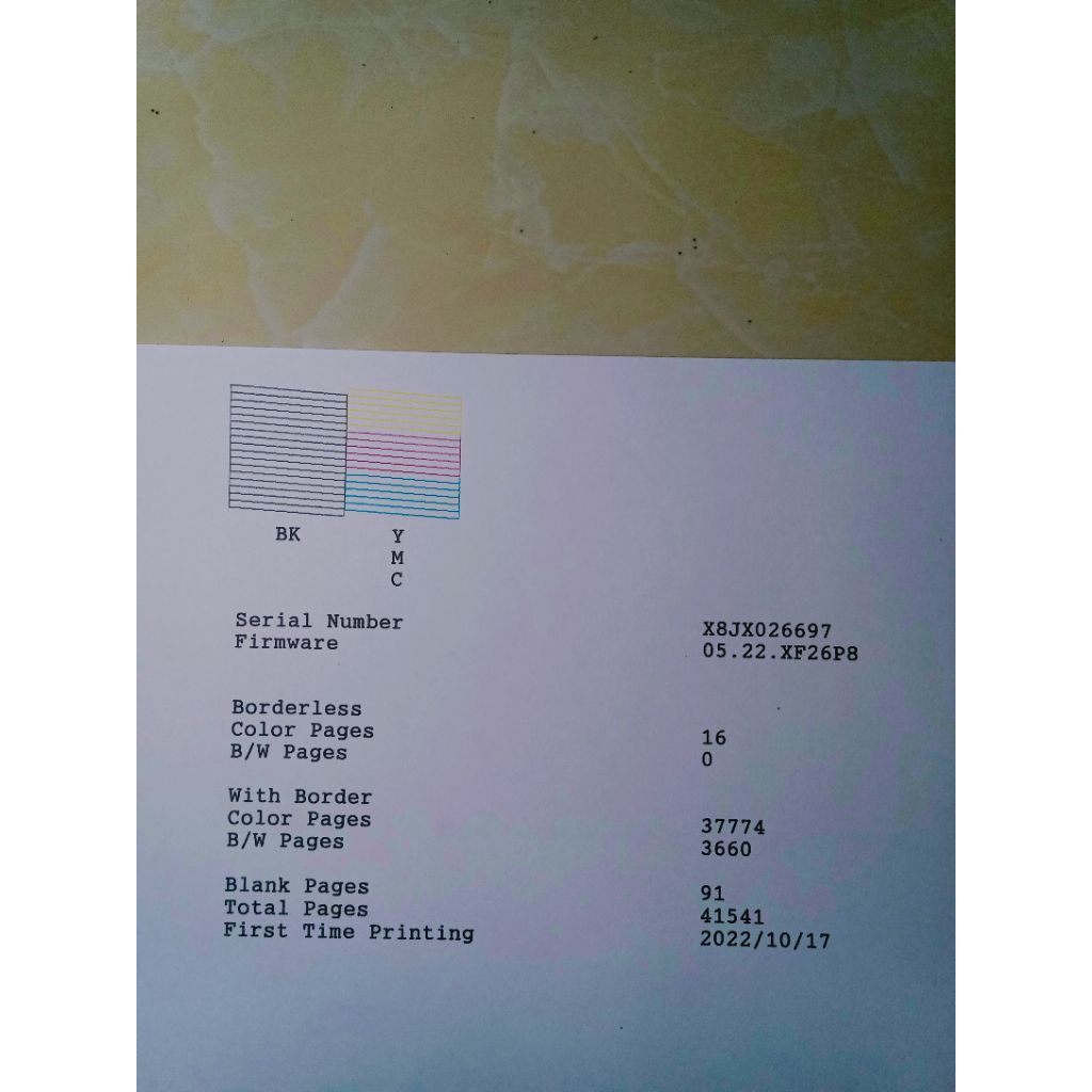 printer Epson L3250