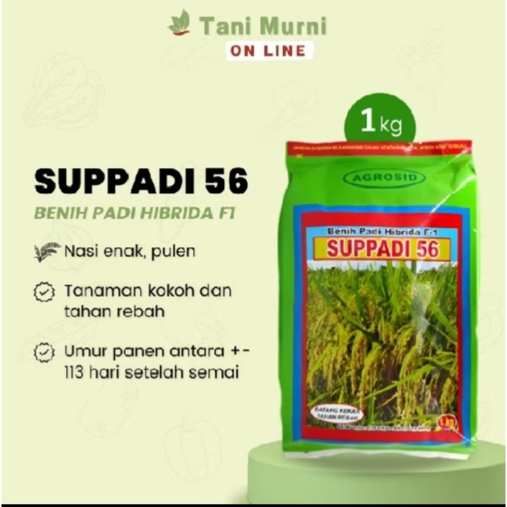 Benih padi suppadi 56 kemasan 1kg kualitas terjamin original
