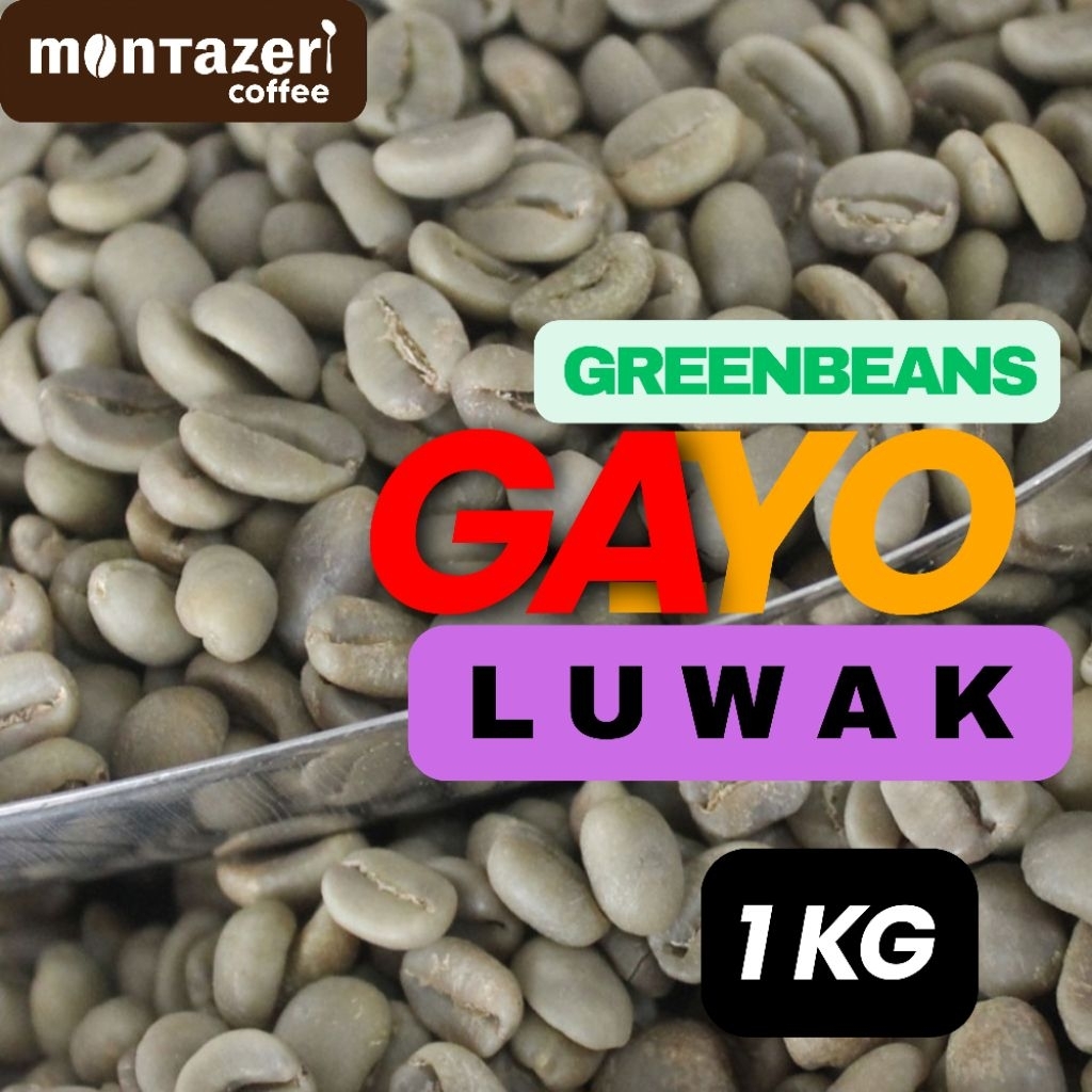 Green Bean Kopi Luwak Liar 1KG Arabika Gayo Asli 100% - Biji Kopi Mentah Specialty Gayo Unroasted Co