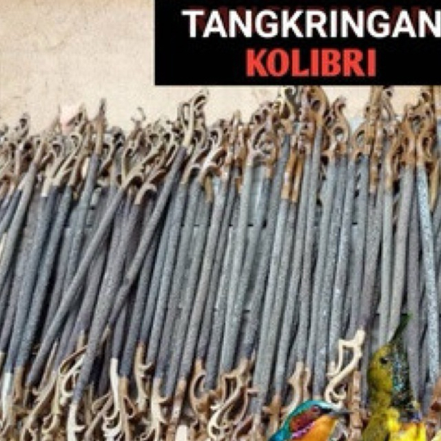 Tangkringan Ukir Pleci dan Konin Kayu Asem Burung Pangkringan Sangkar Heloped 23 CM Kotak PCMI 21 CM