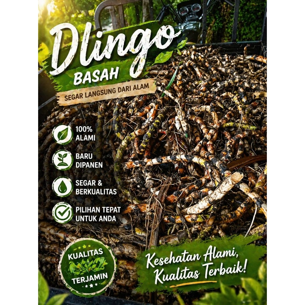 delingo/delingau bangle untuk sawan bayi 250g