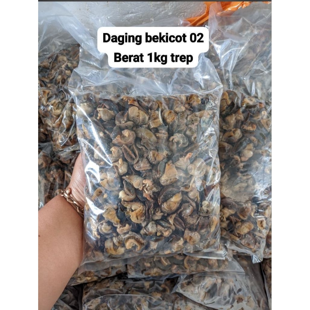 DAGING BEKICOT