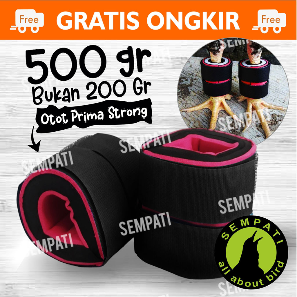 SEMPATI BARBEL AYAM JAGO ADUAN PAKET BEGEL AYAM BANGKOK 500 GRAM SATU PASANG PEMBERAT KAKI AYAM ADUA