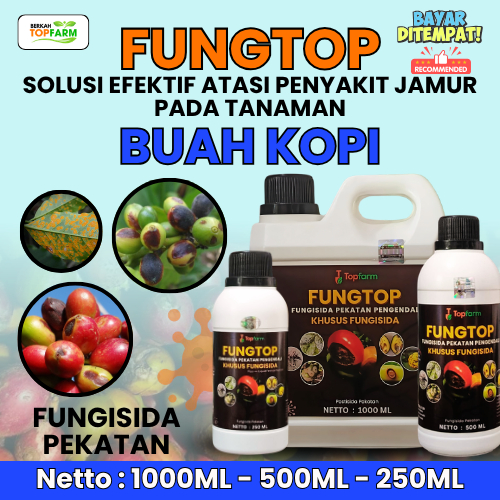 Obat Jamur Pohon Kopi / Fungisida Pengendali Penyakit Jamur / Obat Bercak Daun Kopi / Obat Daun Kopi