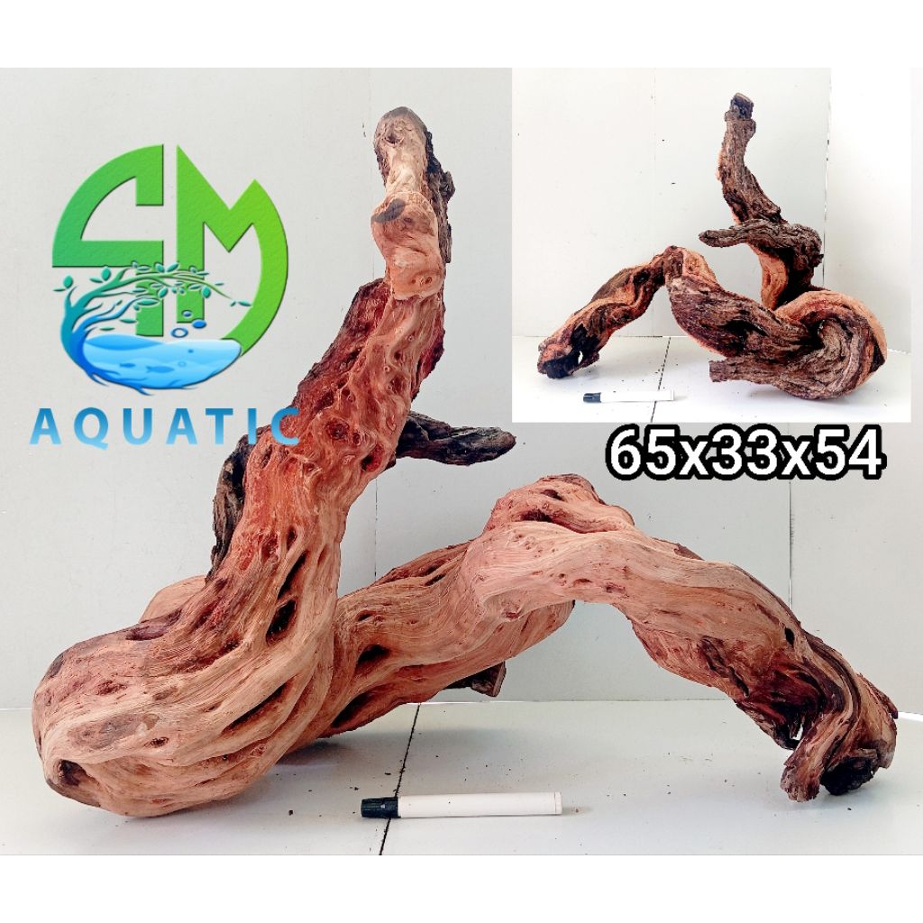santigi laut tenggelam,aquascape