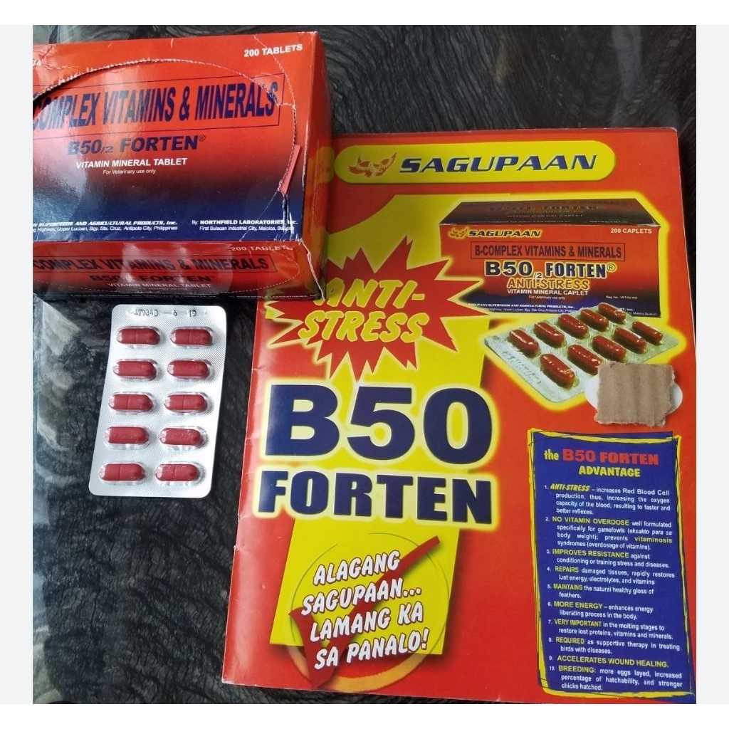 B complex vitamin ayam b50 forten suplemen ayam