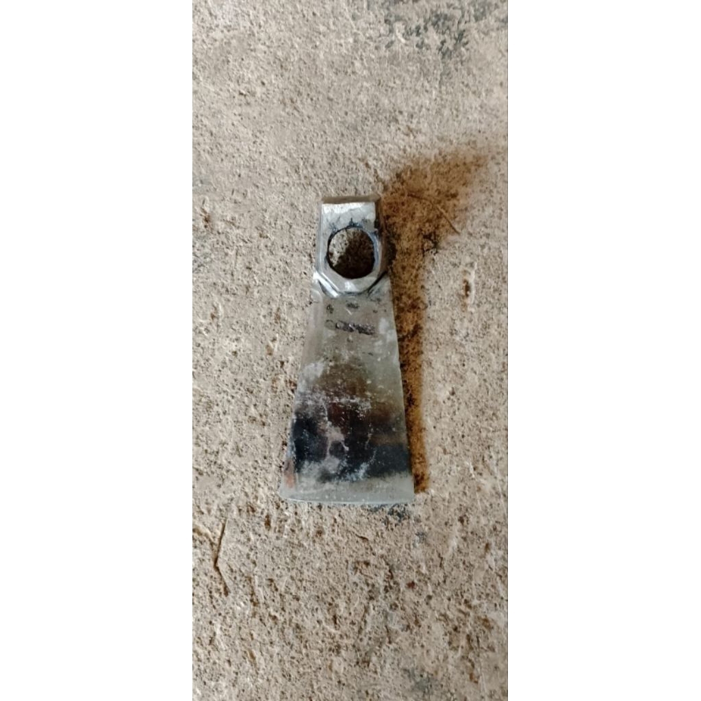 kapak banci / petel