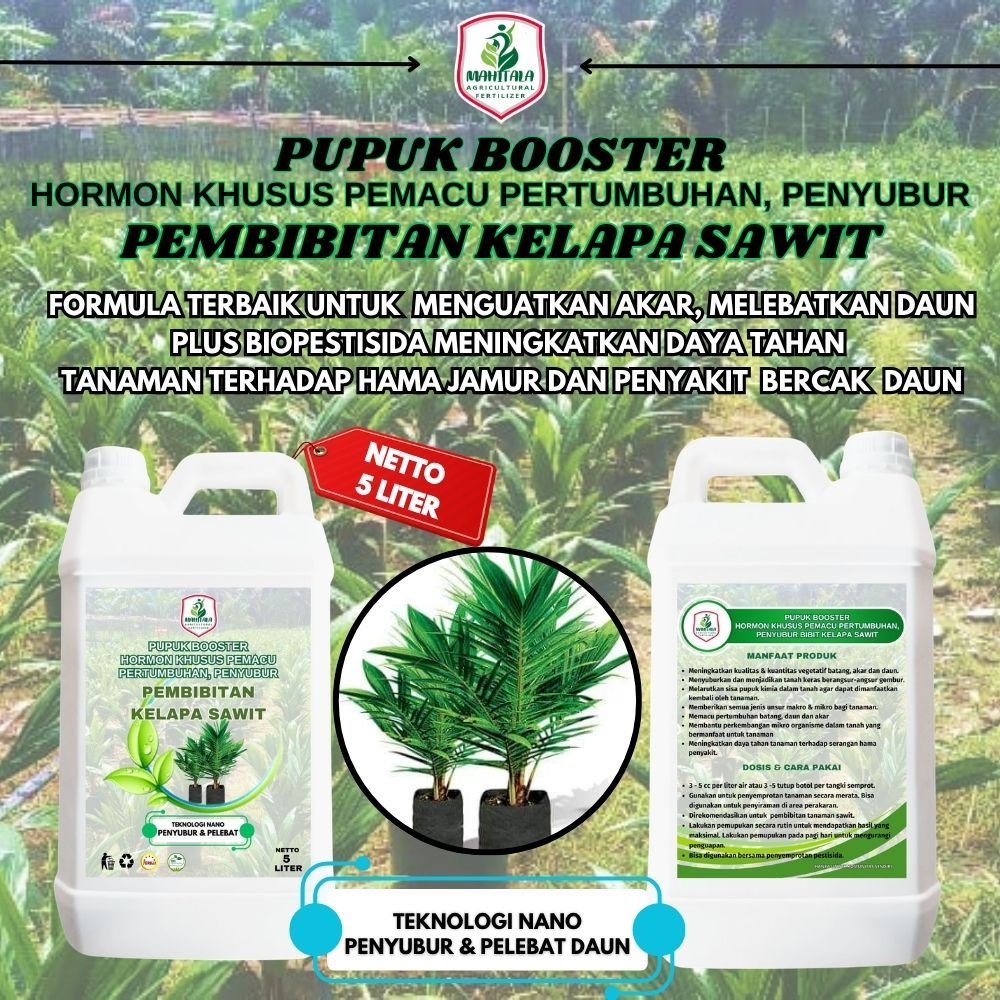 Pupuk Penyubur Pelebat Daun Batang Akar Bibit Sawit Pupuk Kecambah Sawit Pupuk Bibit Sawit Terbaik