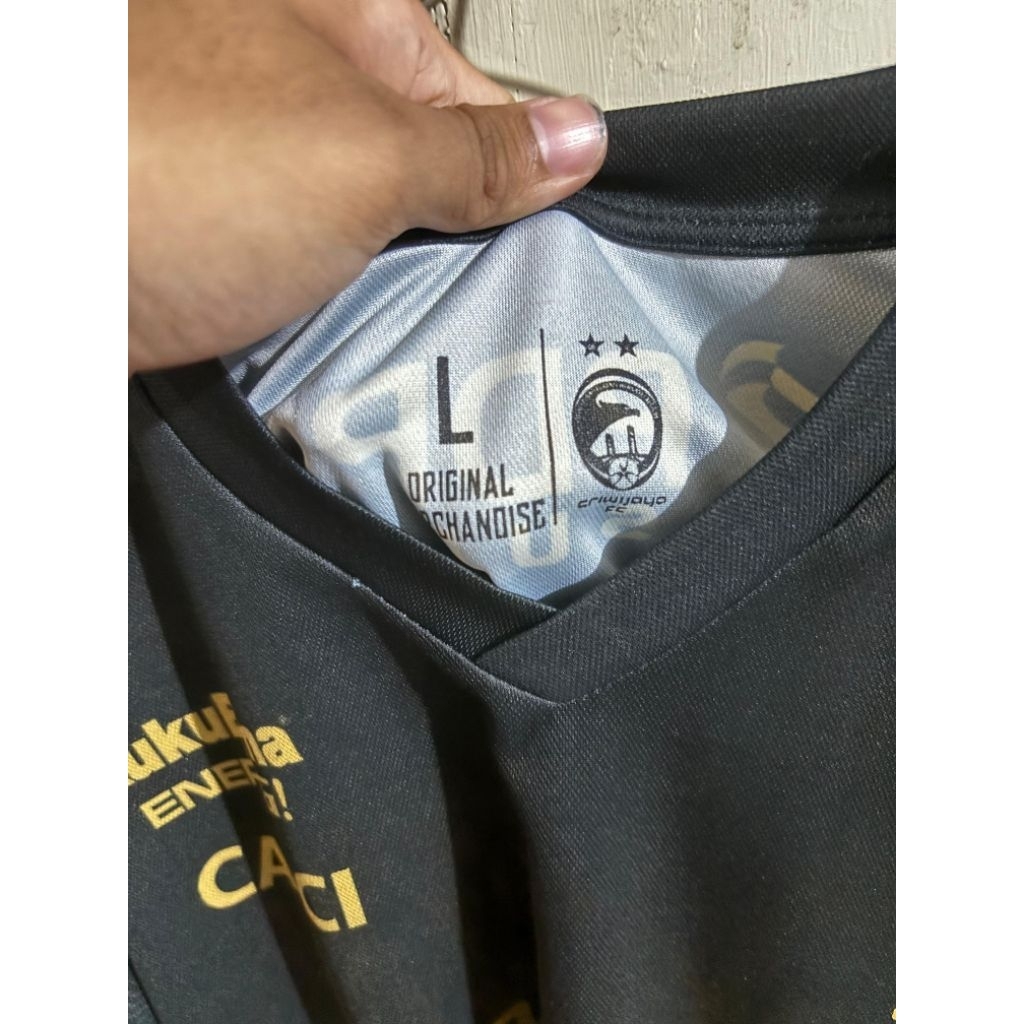 sriwijaya fc 2018 SV