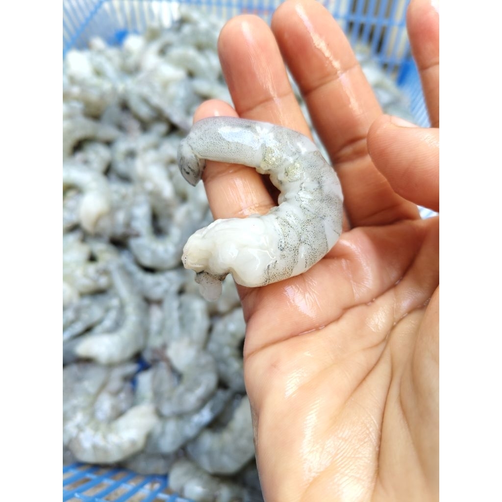 UDANG KUPAS 1KG TIMBANG BERSIH