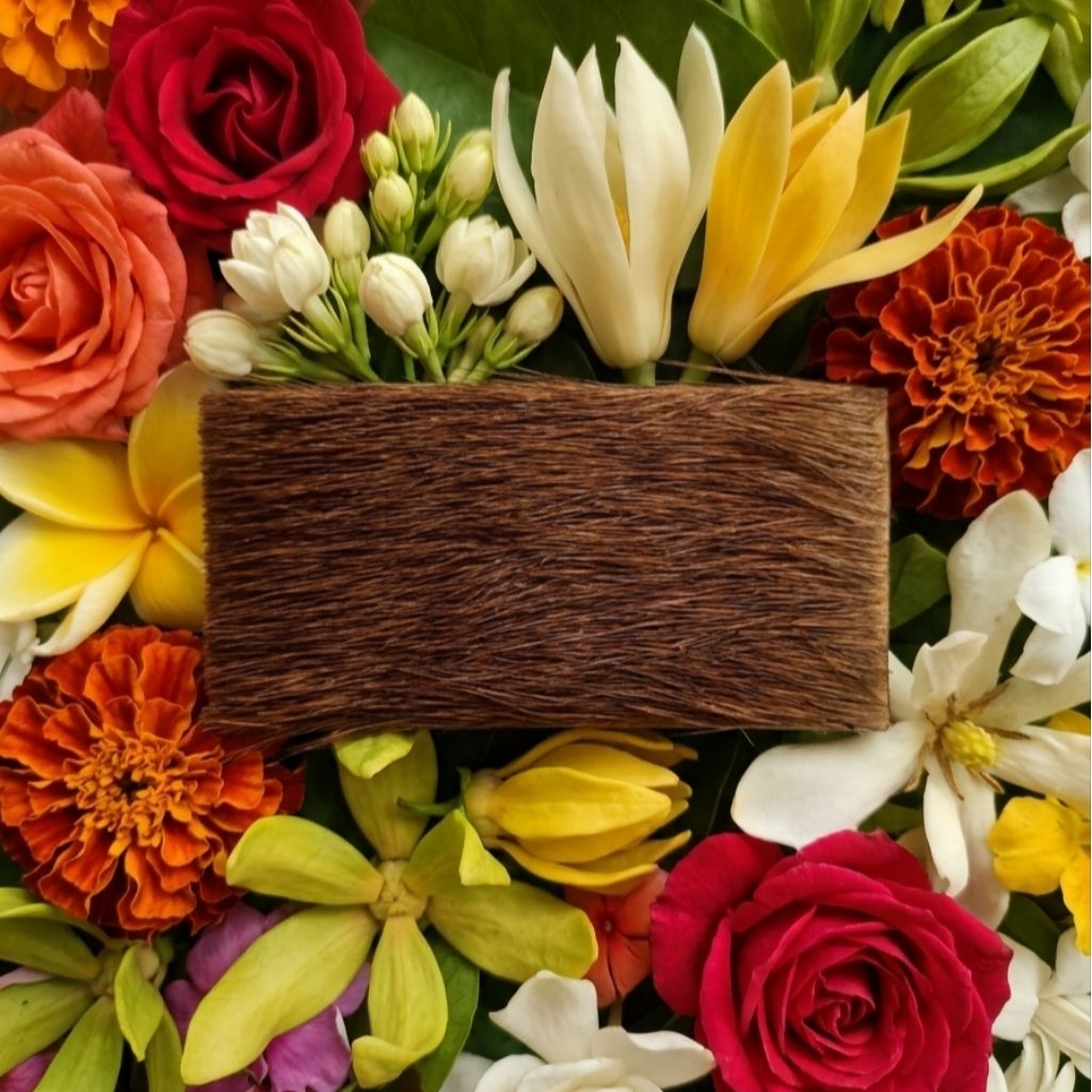 KULIT KIJANG ISI DOMPET