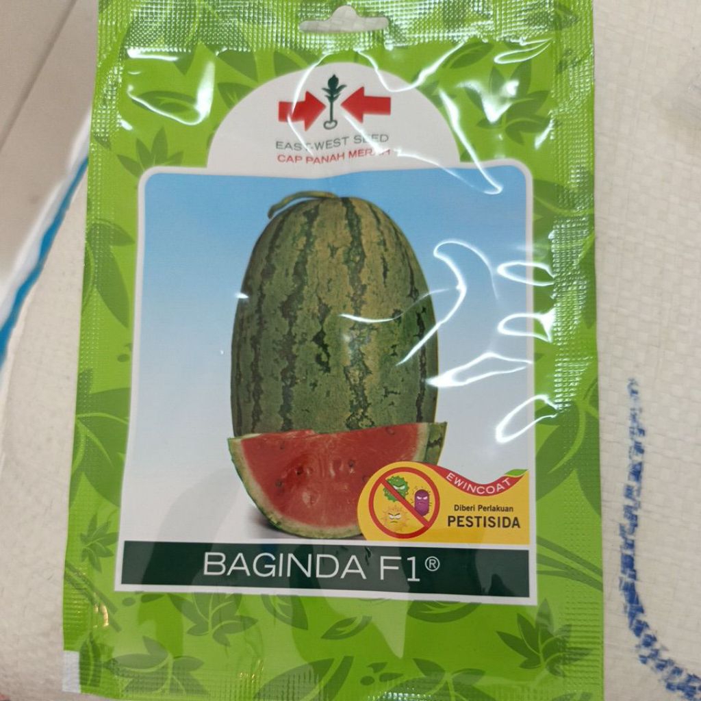 Benih/Bibit Semangka Baginda F1 80 butir