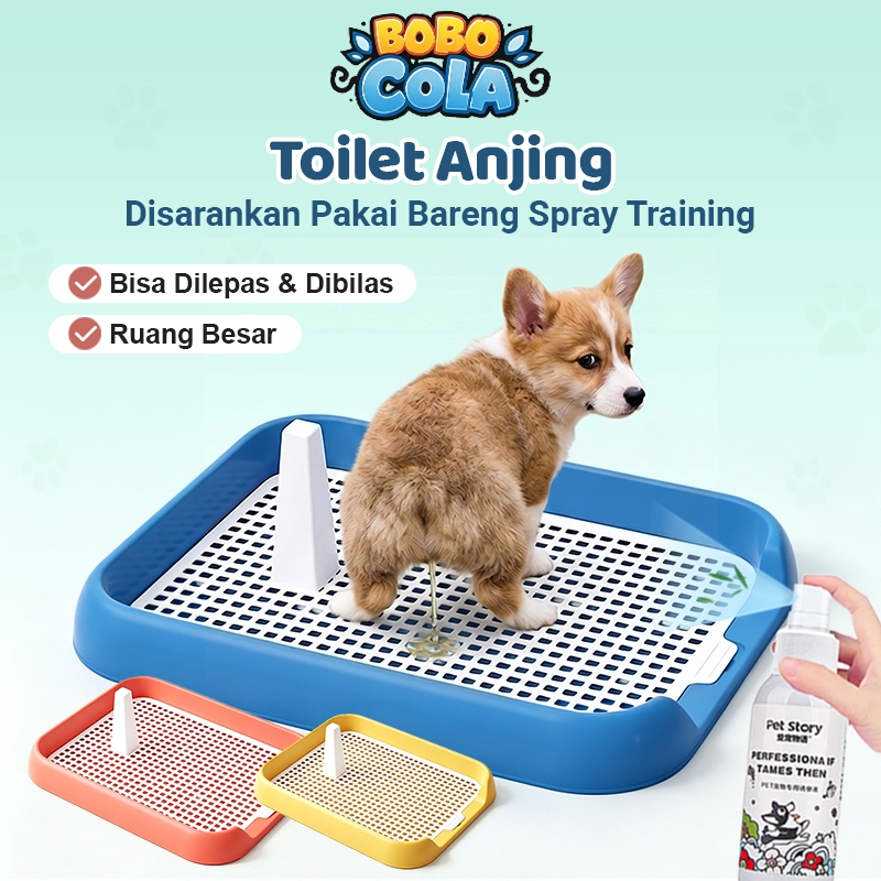 Toilet Anjing Tempat Pipis Anjing Toilet Hewan