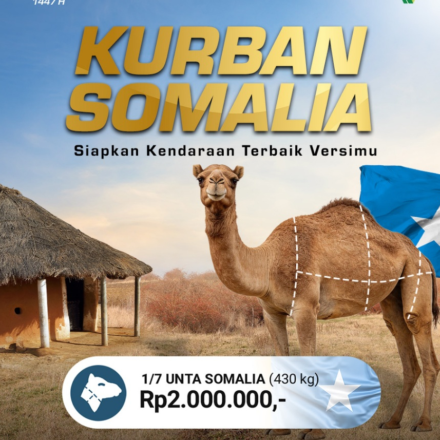 Qurban / Kurban Unta Somalia - Dompet Dhuafa