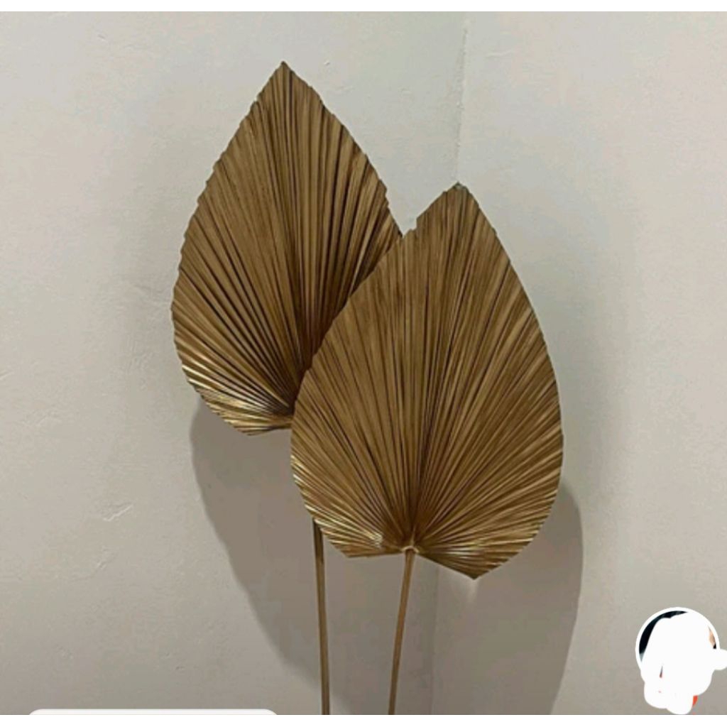 DAUN PALEM KERING AESTHETIC DECORASI 10 CM