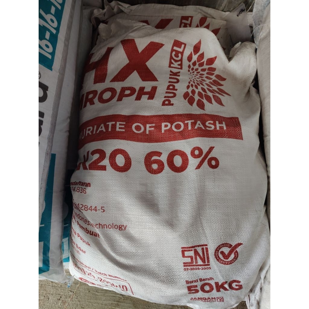 Pupuk KCL DGW (HX MROPH)  1kg