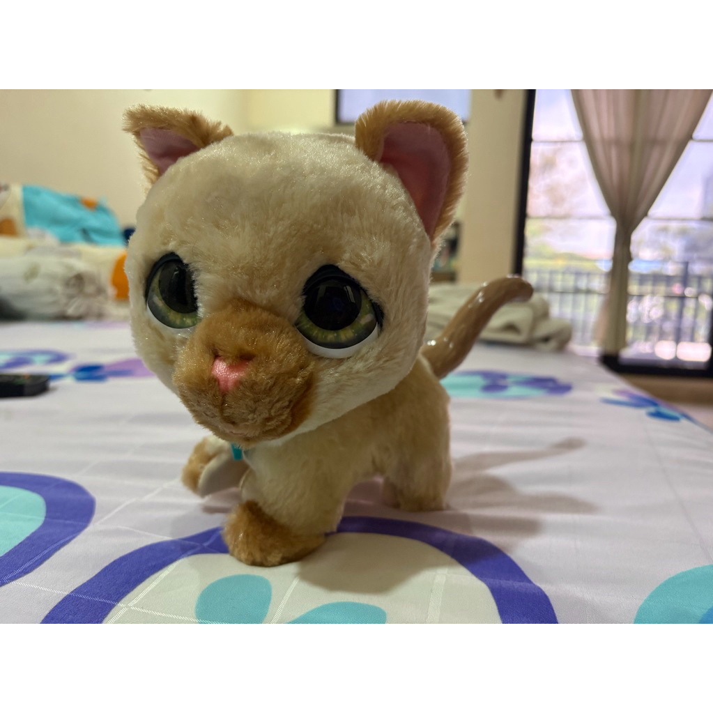 Preloved mainan cat furreal walkalot