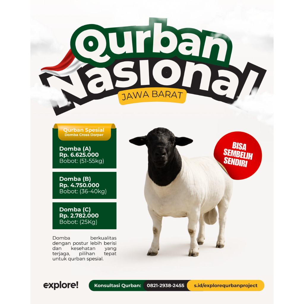Qurban Nasional Domba Cross Dorper X Garut