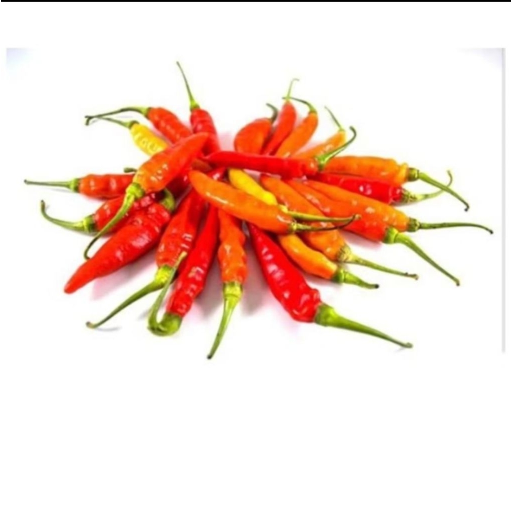 cabe kecil tiung 250gram