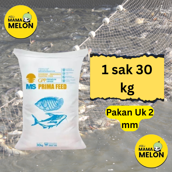 PAKAN IKAN PELET APUNG  LP, GP, GPP MS PRIMA FEED PREMIUM GRADE 1 SAK 30 KG