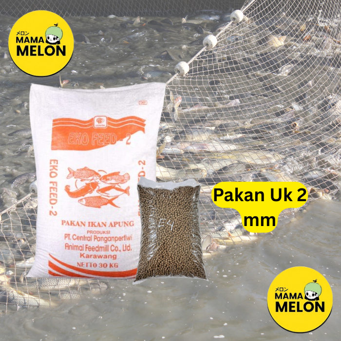 PAKAN IKAN PELET APUNG IKAN GURAME NILA LELE PATIN BANDENG SEMUA JENIS IKAN EKO FEED 1 SAK 30 KG