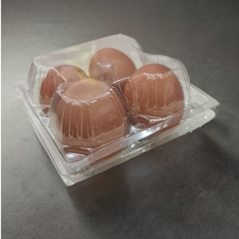 SR GROSIR Tray Mika ISI 4 | Egg Tray Mika | Mika Tray Telur Ada Pengunci | Mika Telur Tebal Aman