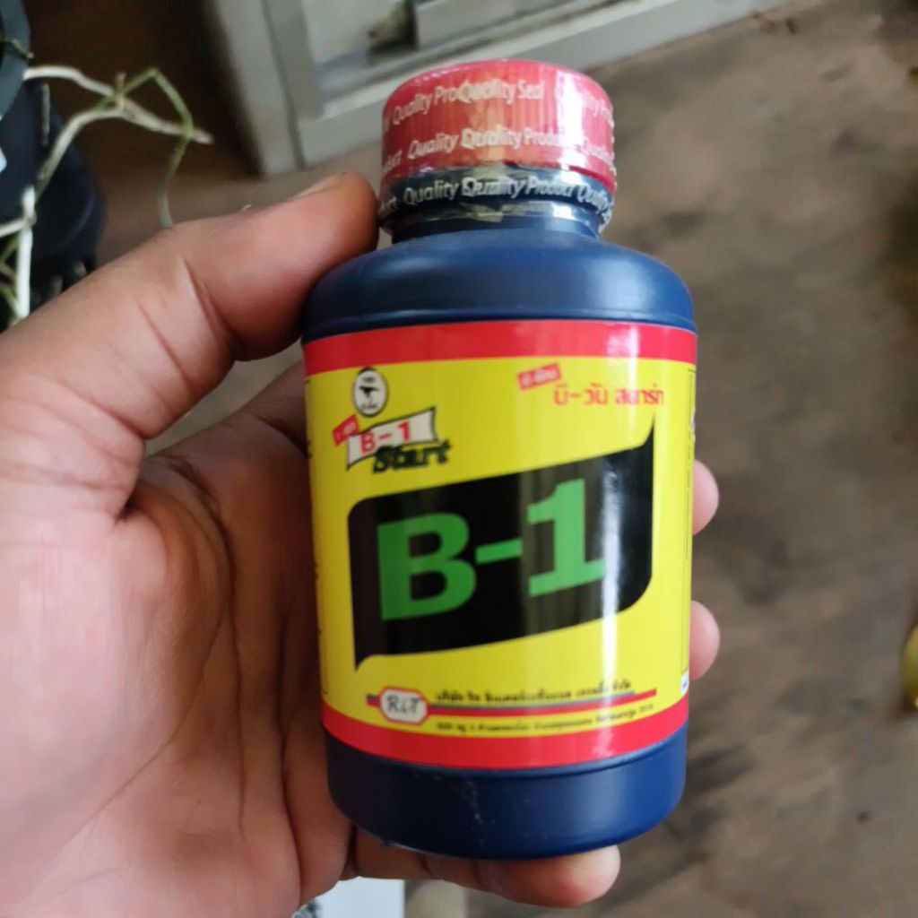 B1 Thailand