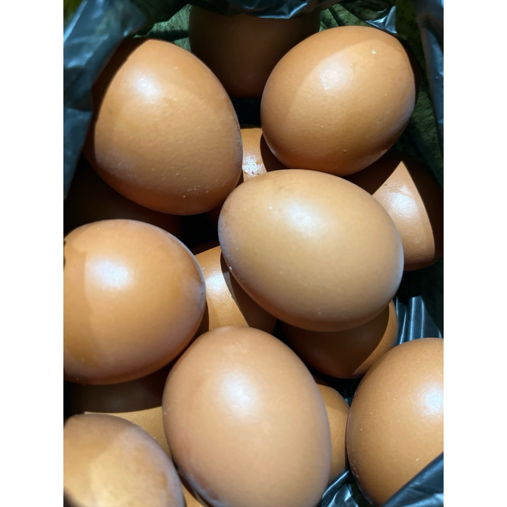 Telur ayam negri 1kg