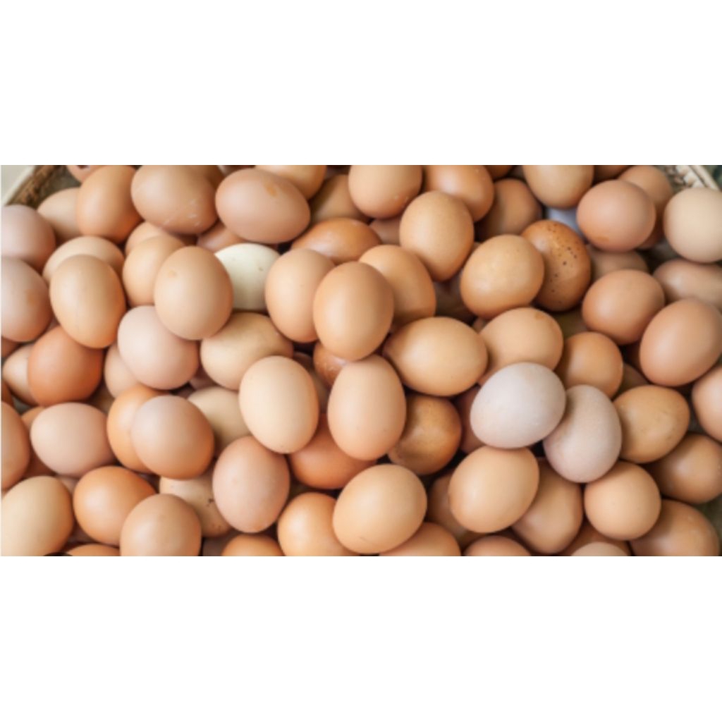 telur 1kg fresh (khusus besuk-paiton)
