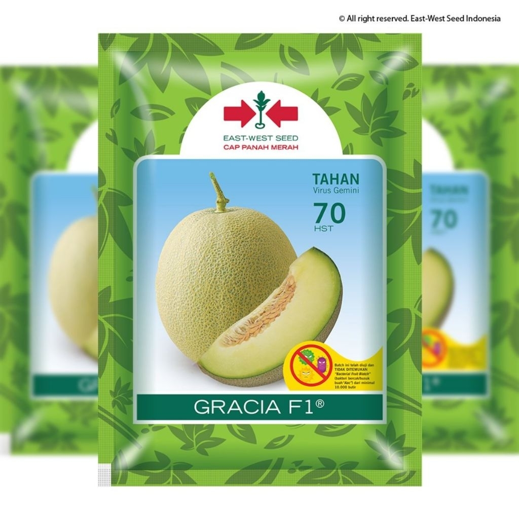 Benih Melon Madu GRACIA Isi 500 biji, Asli Cap Panah Merah Panen 70 Hari