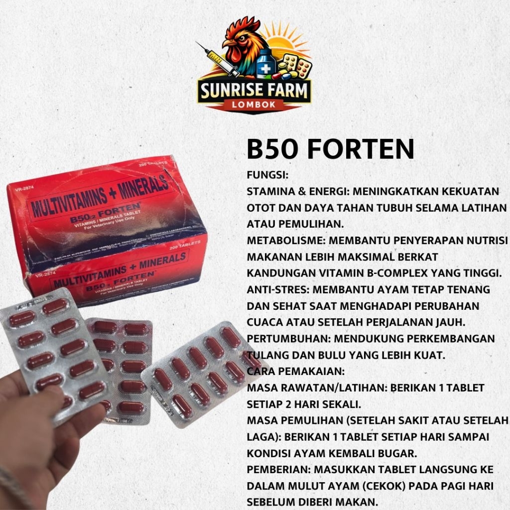 B50 FORTEN / VITAMIN B50 FORTEN Peningkatan Daya Tahan, Energi, dan Agresivitas Ayam / B complex / B