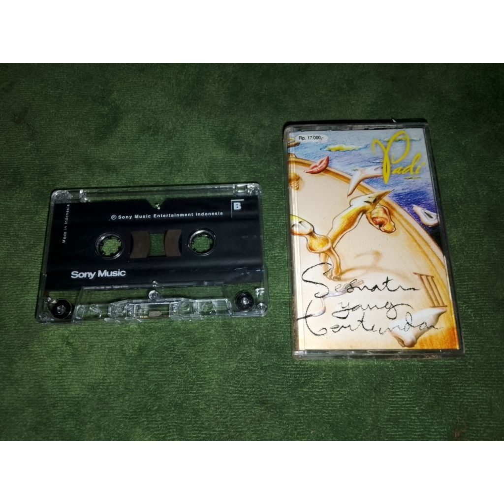 kaset pita padi