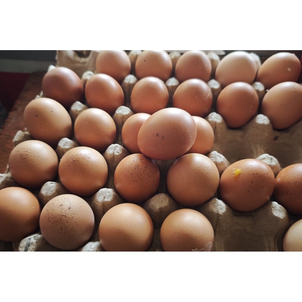(KUDUS) 1kg TELUR AYAM FRESH packing mika dan plastik