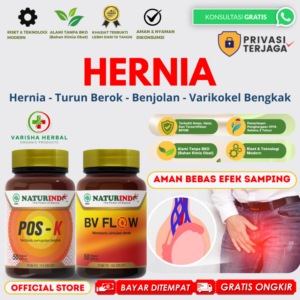 Obat Hernia Turun Peranakan Berok Benjolan Varikokel Varises Buah Zakar Bengkak POS K + BV FLOW
