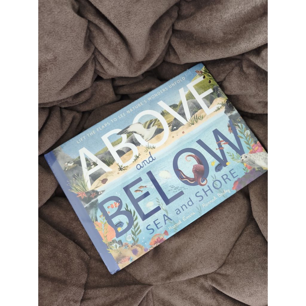 above below sea and shore