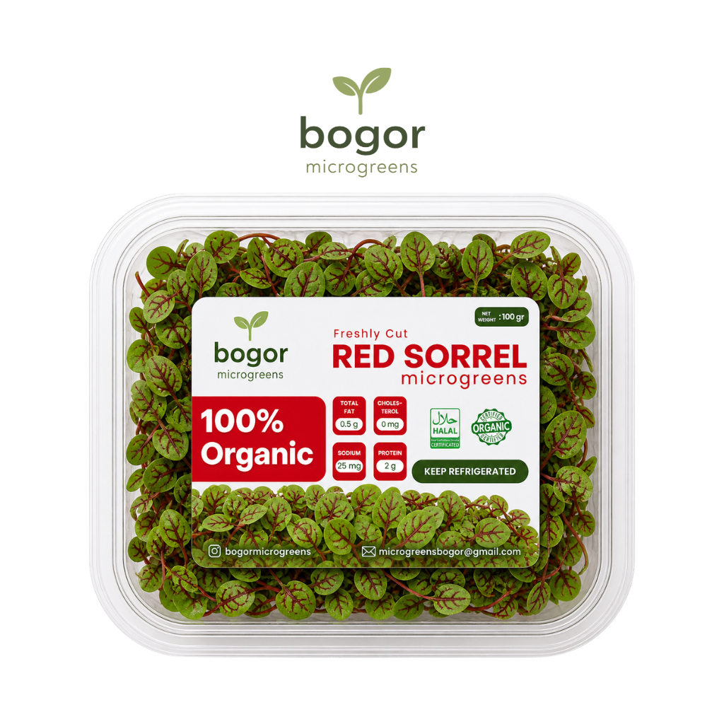 Bogor Microgreens - Microgreen Red Sorrel 25/50 pcs/lembar - Garnish Premium - Salad Topping - Fresh